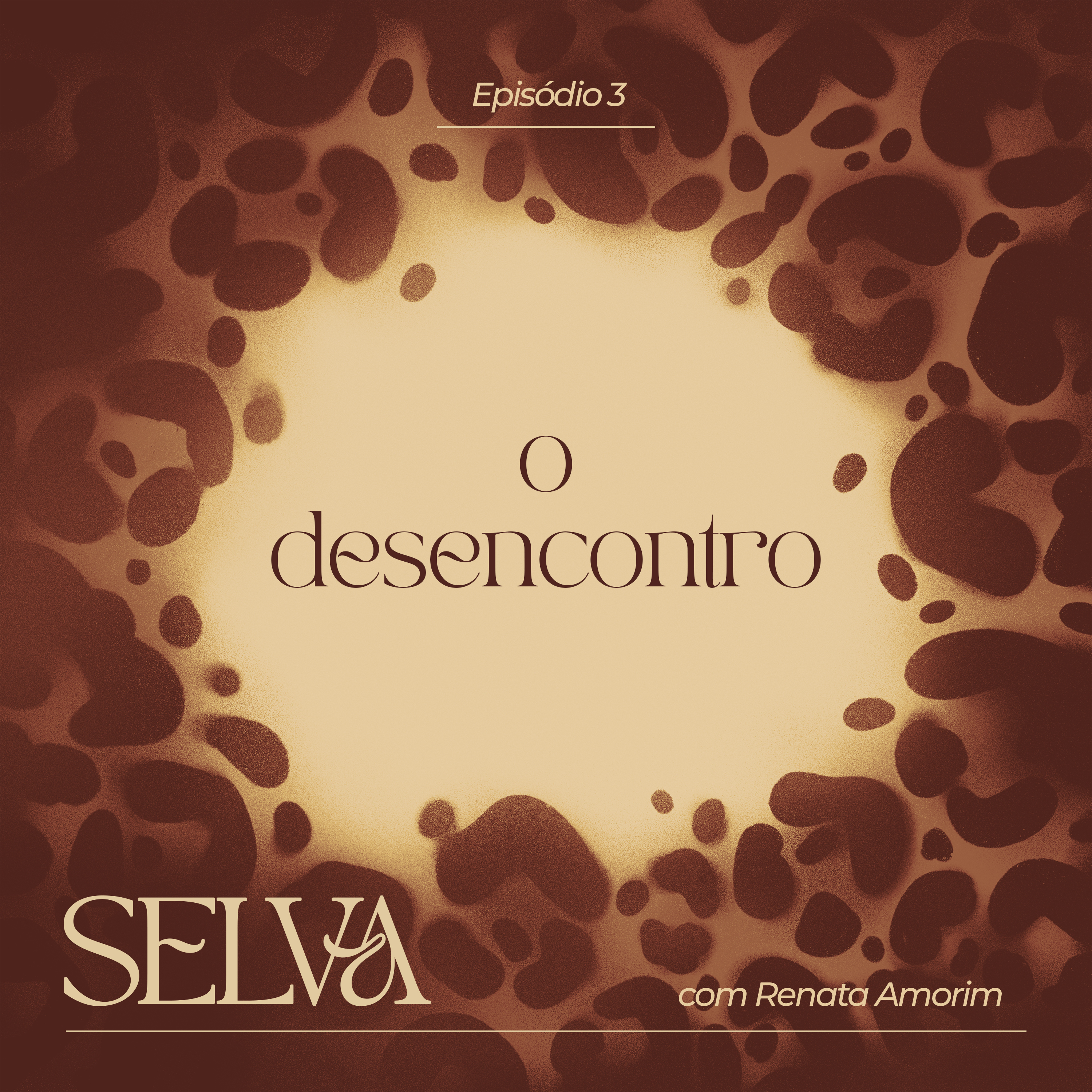 o desencontro